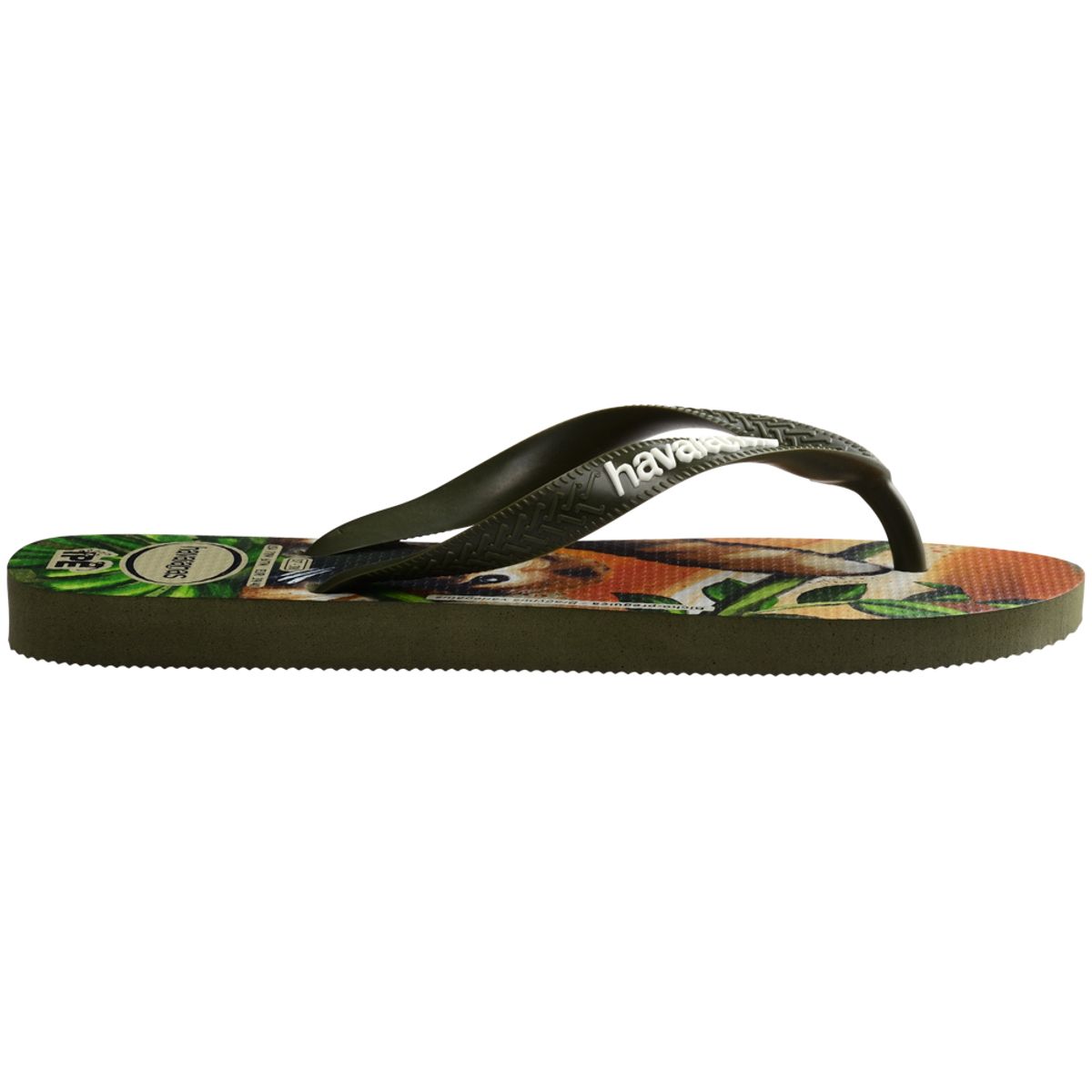 Chinelo Havaianas Disney Stylish Verde Tropical - 33/34 com o Melhor Preço  é no Zoom